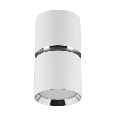Oprawa sufitowa dior dwl GU10 white/chrome strühm
