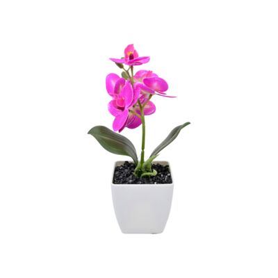 Storczyk w doniczce 28 cm różowy