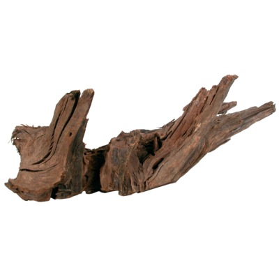 Korzeń Mangrowca 40 - 60 cm ZOLUX