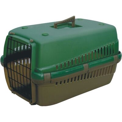 Transporter Oggy S zielony